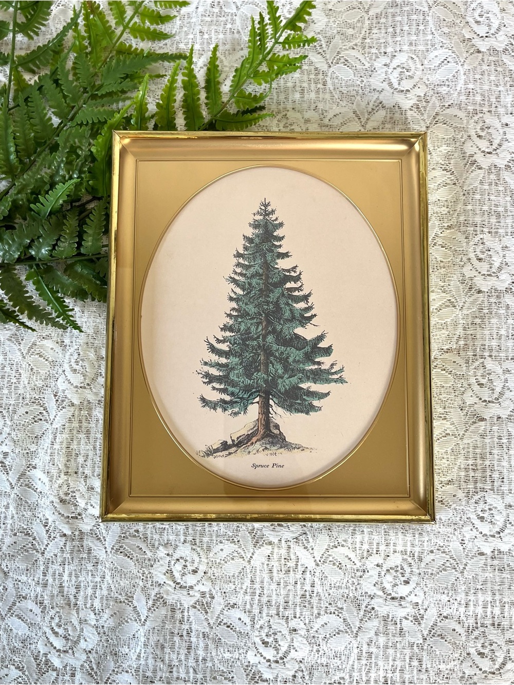 Vintage Oval Brass Framed Spruce Pine Decor 8x10